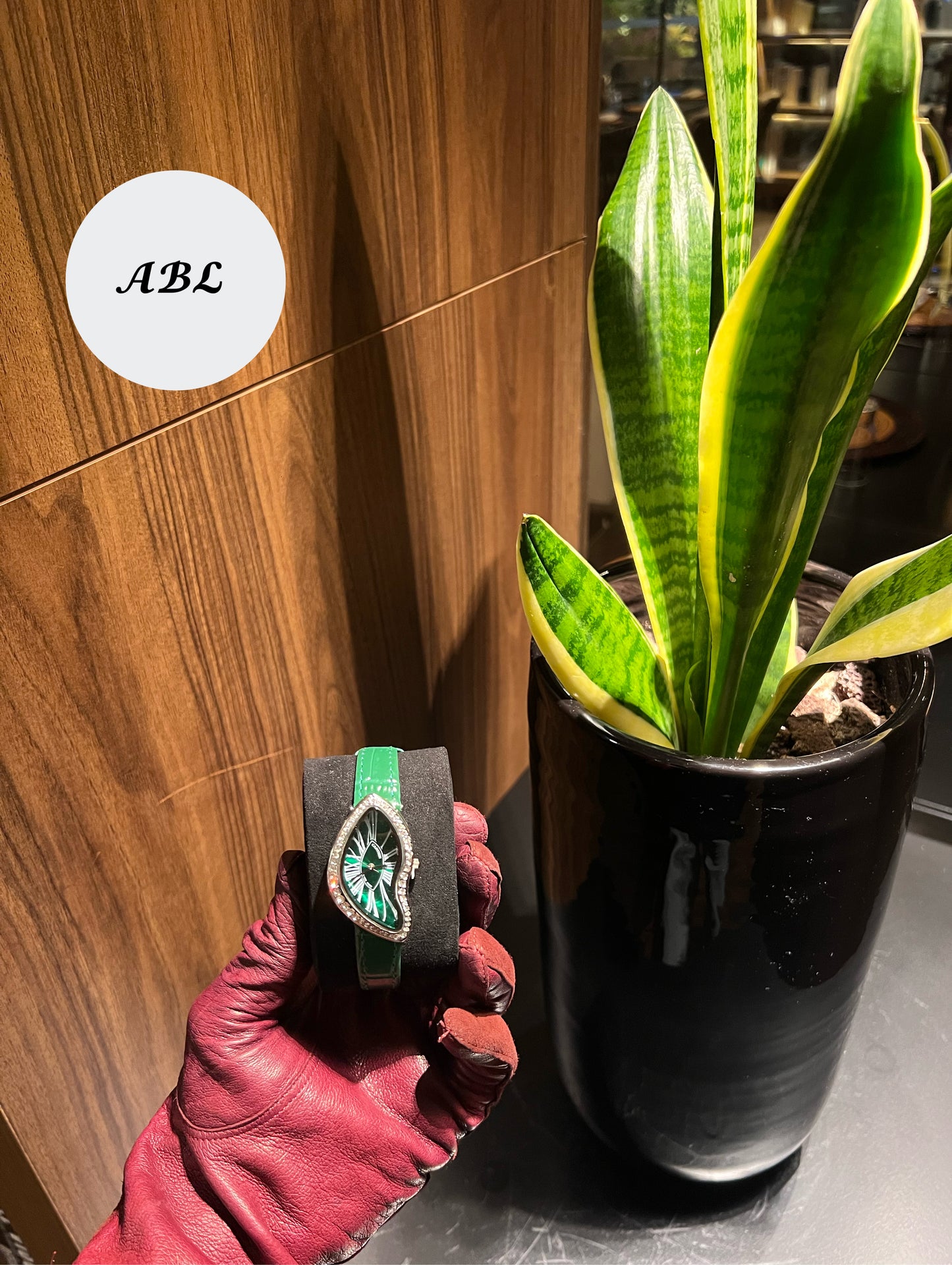 Montre luxe – Cadran Vert