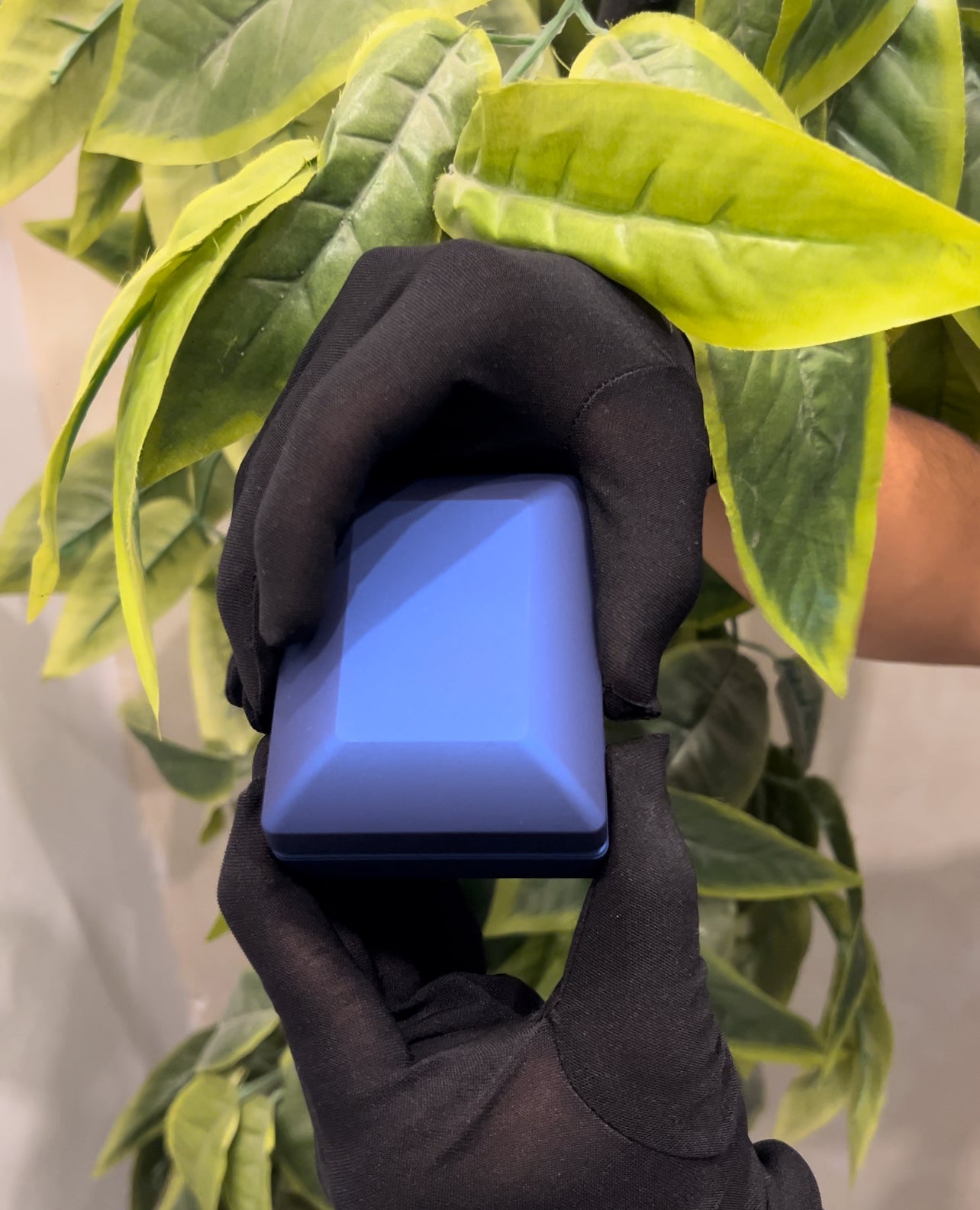 Bracelet Trèfle Bleu Femme – Acier Inoxydable Doré