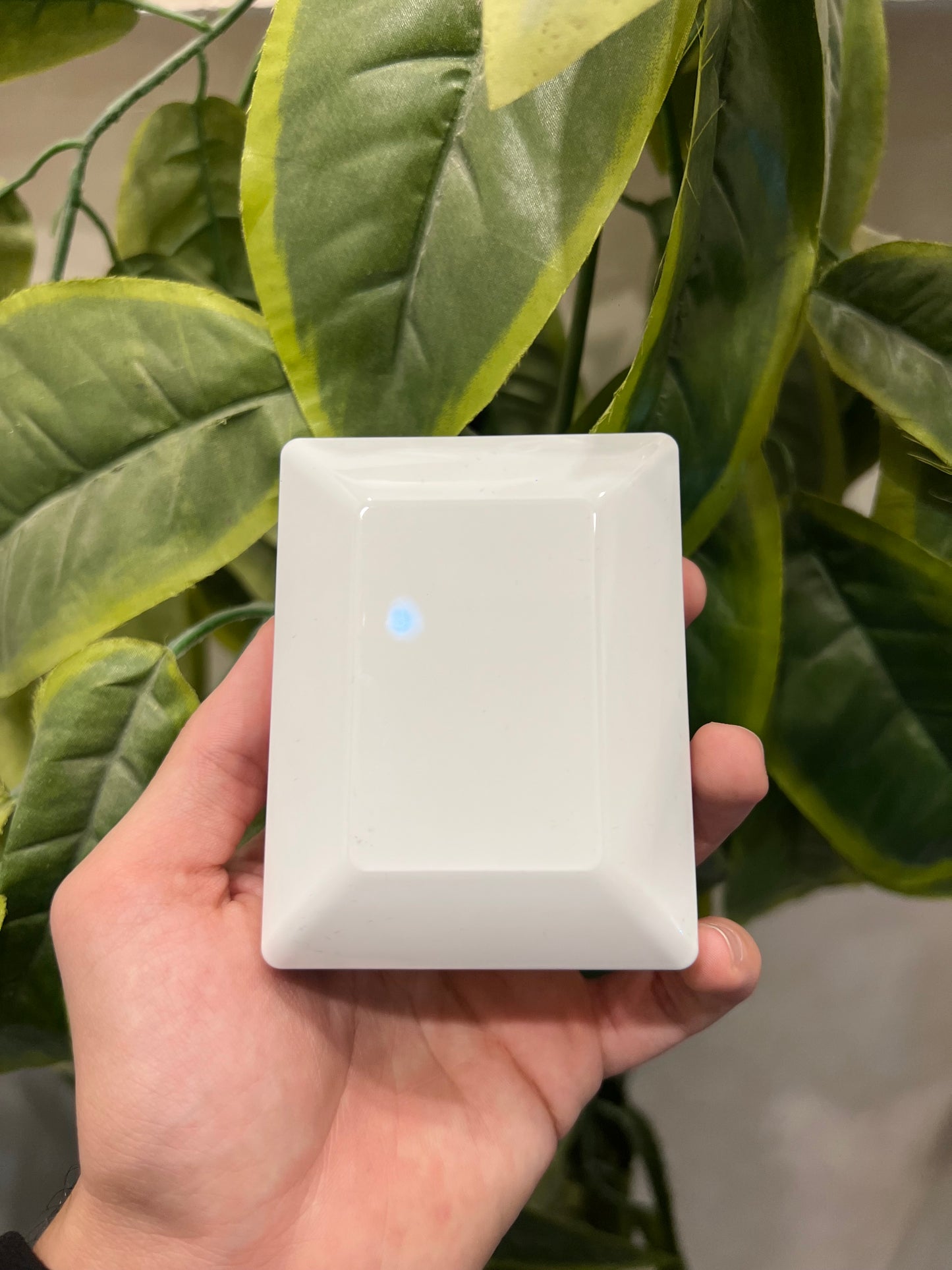 Bracelet Trèfle Blanc Femme – Acier Inoxydable Doré