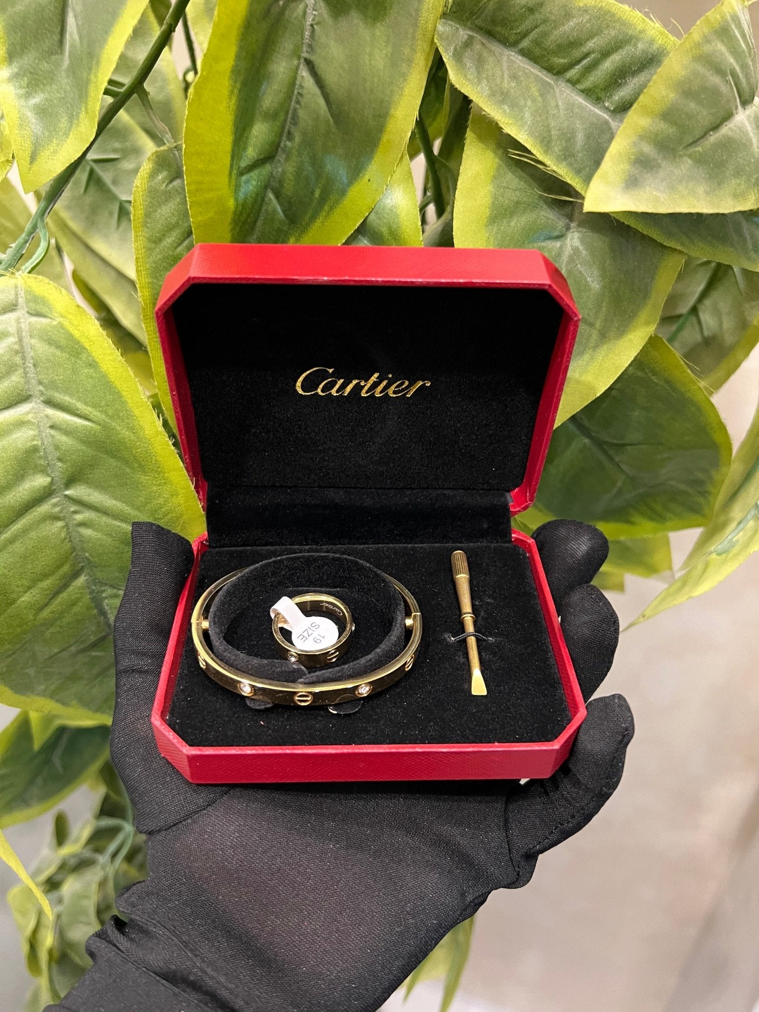 The Signature Jewelry & Time Set - ABL MADEMOISELLE