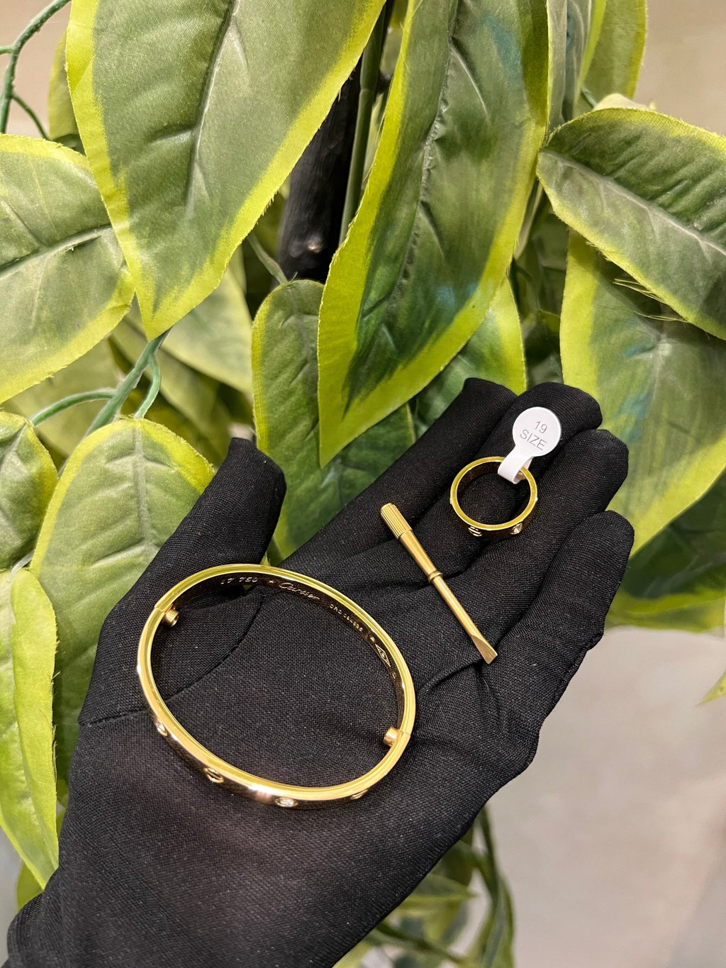 The Signature Jewelry & Time Set - ABL MADEMOISELLE